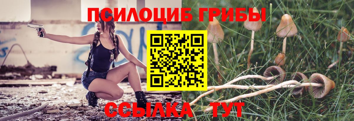 Галлюциногенные грибы Psilocybe Скопин