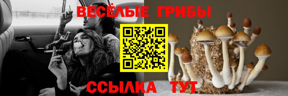 как найти закладки  Галлюциногенные грибы Psilocybe  Вход с VPN  Скопин 